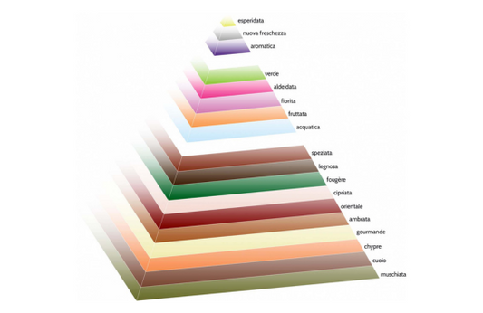 La Piramide Olfattiva: Interpretare le Note dei Profumi - Profumeria Taussi®